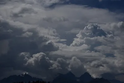 DSC_3117 (Large).JPG